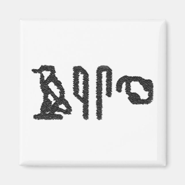 Hjärnhieroglyfi Magnet (Framsidan)