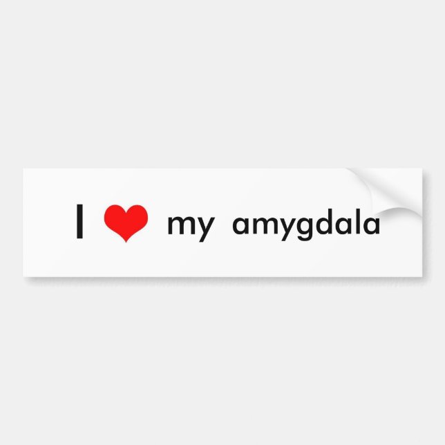 Hjärnkärlek Bildekal (Framsidan)