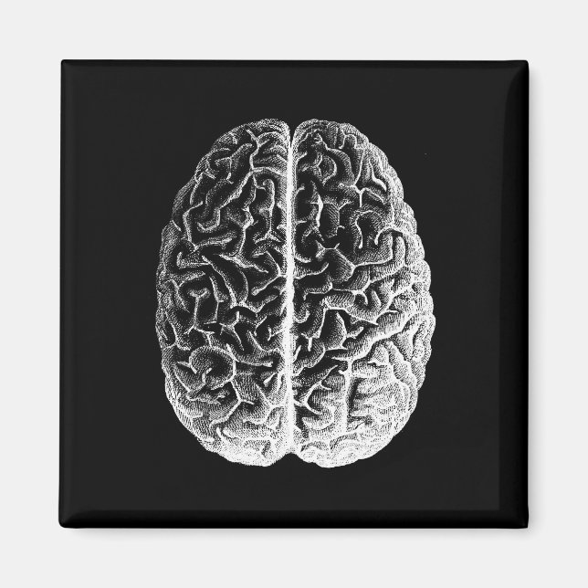 Hjärnor! Magnet (Framsidan)