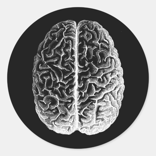 Hjärnor! Runt Klistermärke (Framsida)