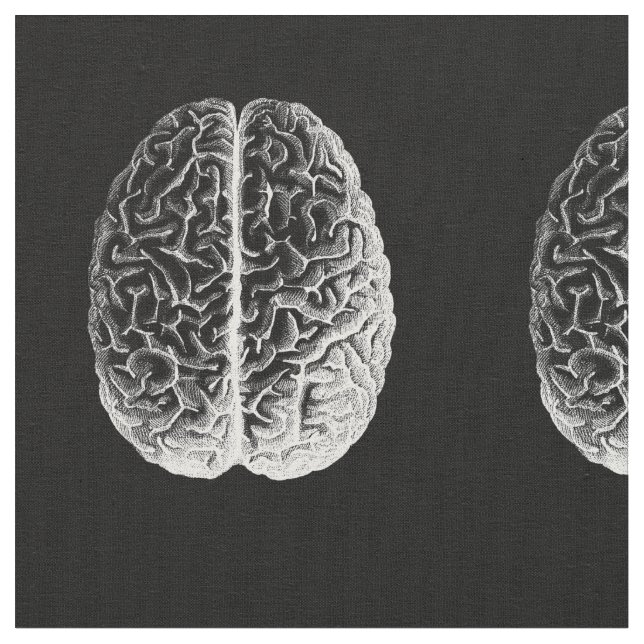 Hjärnor! Tyg (Närbild)
