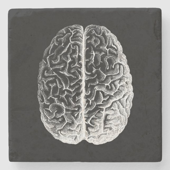 Hjärnor! Underlägg Sten (Framsidan)