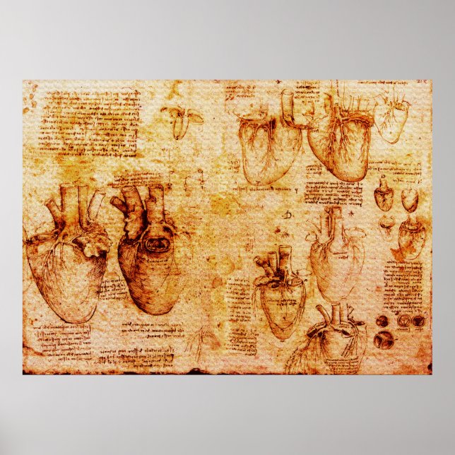 Hjärt och dess blodkärl, brunkol poster (Framsidan)