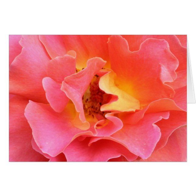 hjärta av det tomma kortet för ro hälsningskort (Framsidan Horizontal)