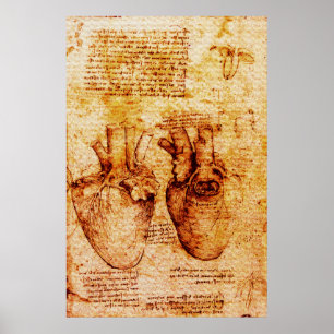 Hjärta, dess blodkärl, Leonardo Da Vinci Brun Poster
