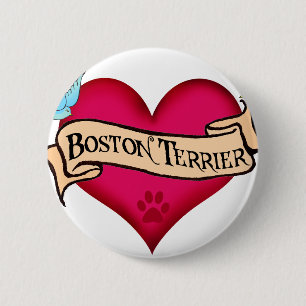 Hjärta för Boston Terriertatuering Knapp