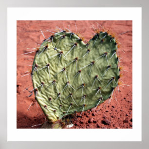 Hjärta för Prickly Pear Poster