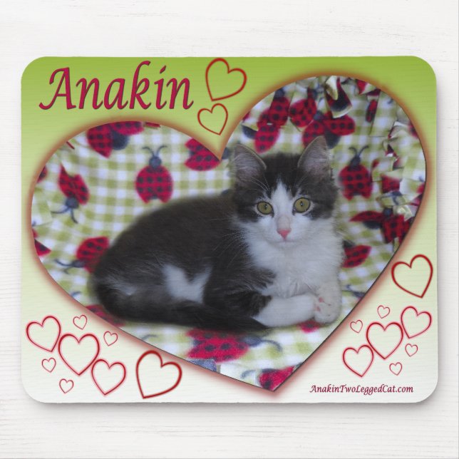 Hjärta KittyMousepad för Anakin två lagd benen på Musmatta (Framsidan)