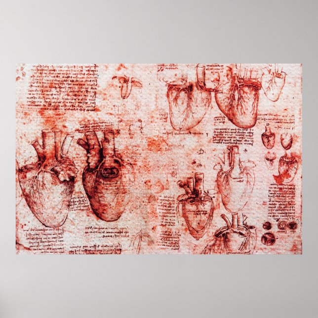 Hjärta och dess blodkärl Leonardo Da Vinci,Röd Poster (Framsidan)