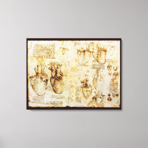 Hjärta Och Dess Blodkärl, Sepia Canvastryck