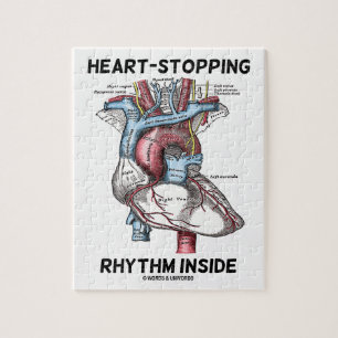 Hjärta-Stoppa inre Anatomical hjärta för rytm Pussel