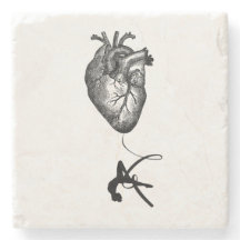 Hjärtaanatomi - flyg- akrobat