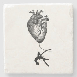 Hjärtaanatomi - flyg- akrobat stenunderlägg