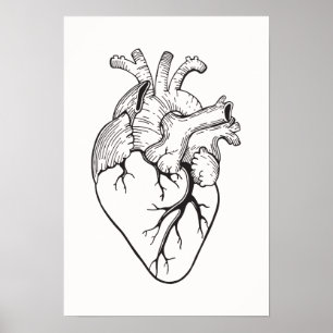Hjärtaillustrationaffisch Poster