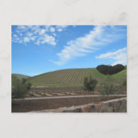 Hjärtan av Paso Robles vinland