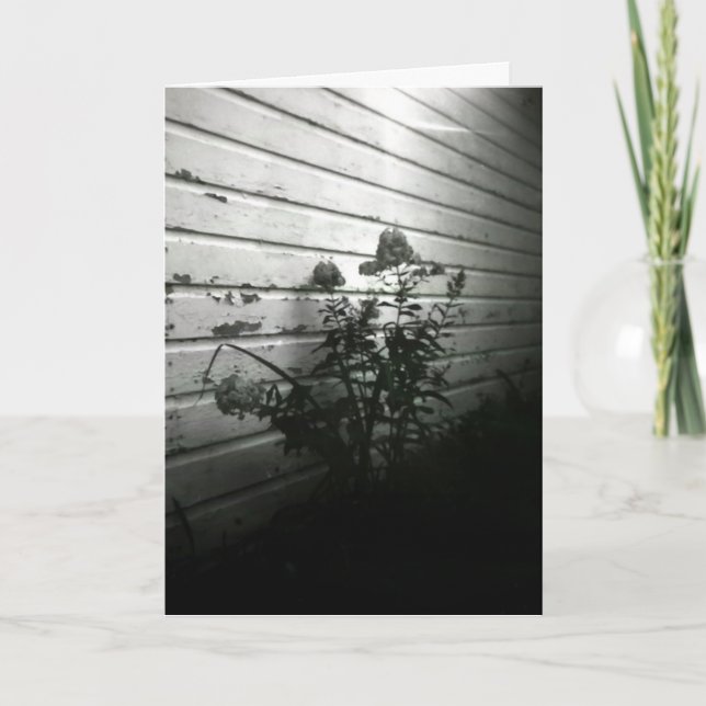 Hjärtan frågar nöje först kort (Framsida)