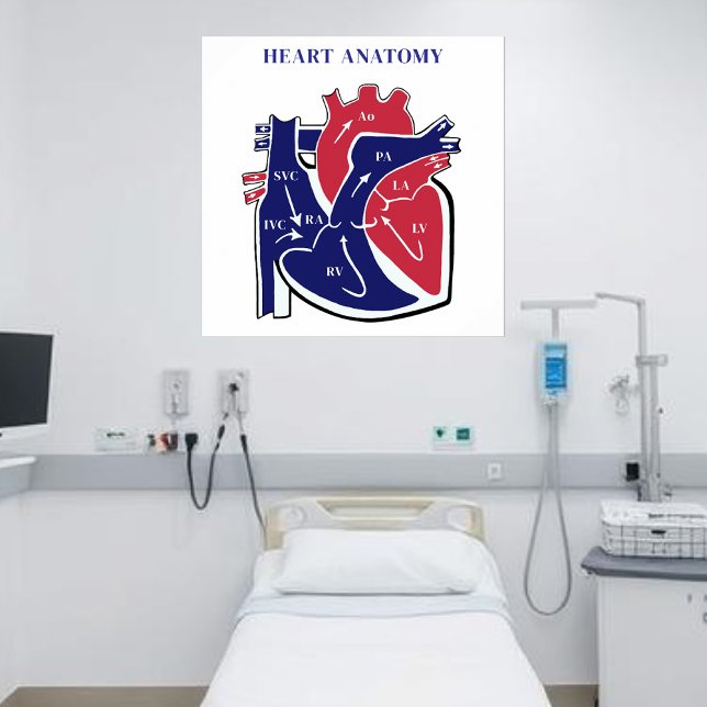Hjärtanatomi- Poster (Heart Anatomy- Poster )