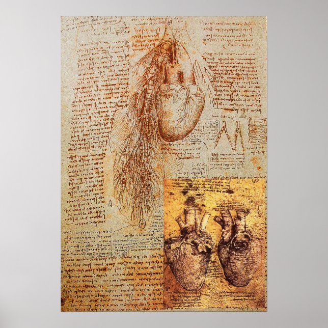 Hjärtat, bronkialkärl och dess blodkärl poster (Framsidan)