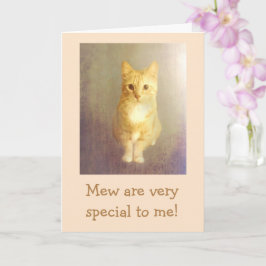 Hjärtat "från katten" födelsedagen kort