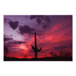 Hjärtat i Arizona Fototryck