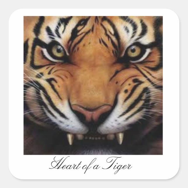 Hjärtat i en tigermunk fyrkantigt klistermärke (Framsida)