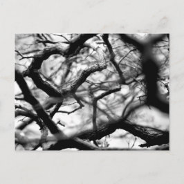 Hjärtat i Grenar Vykort