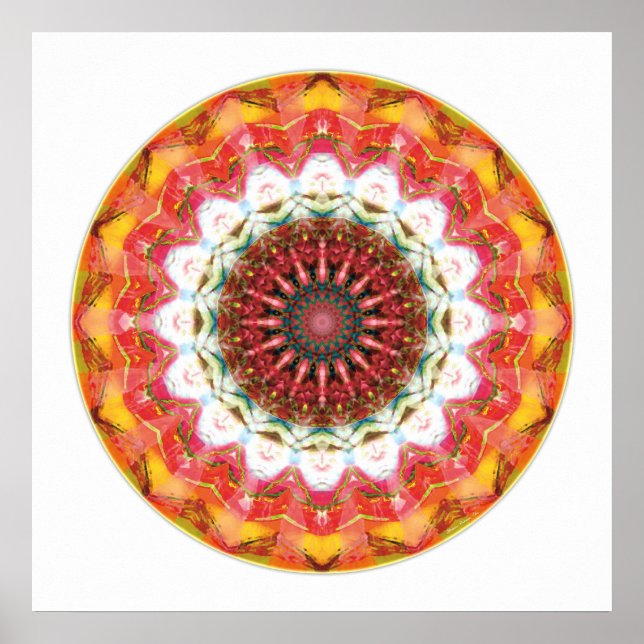 Hjärtat i överlämnande Mandala 1 Poster (Framsidan)