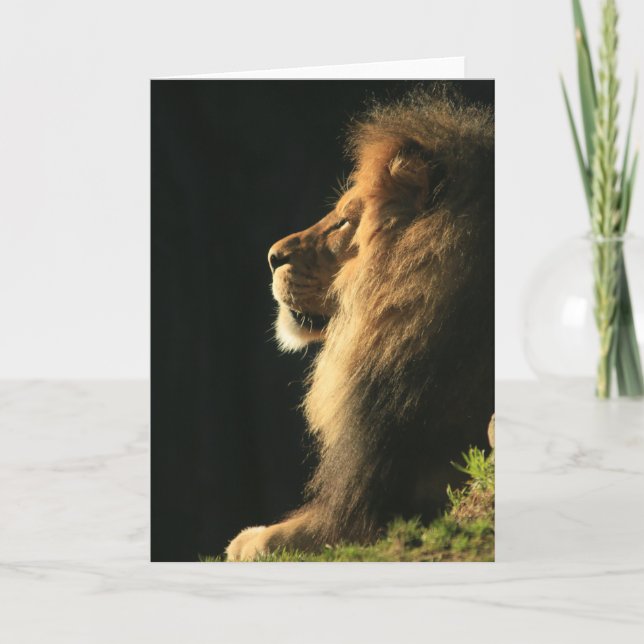 Hjärtat Kommer Sol Kort (Framsida)