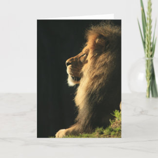 Hjärtat Kommer Sol Kort