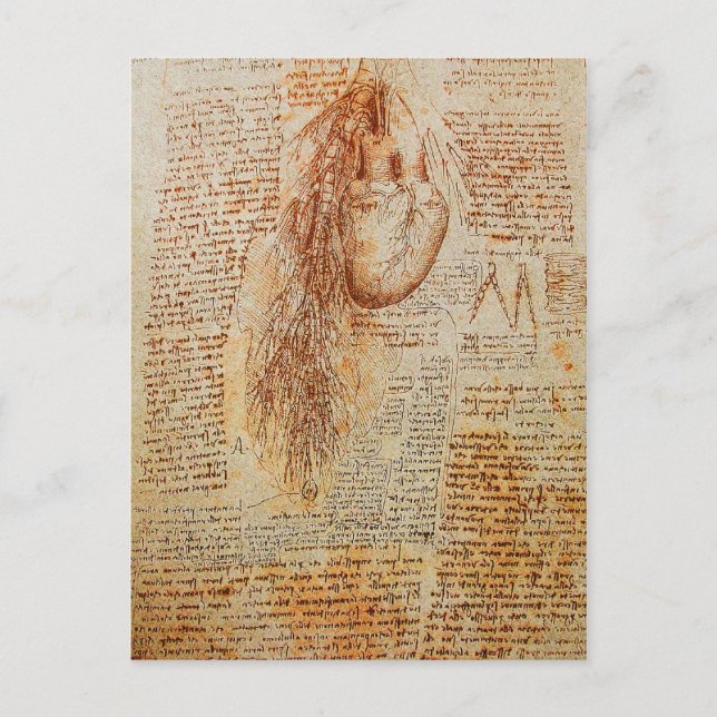 Hjärtat och Bronchial Arteries Parchment Vykort (Framsida)