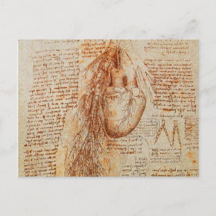 Hjärtat och Bronchial Arteries Parchment Vykort
