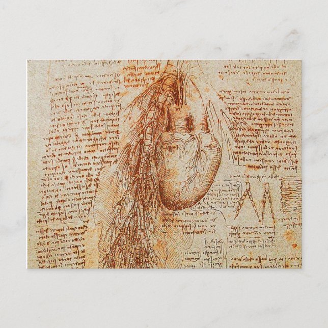 Hjärtat och Bronchial Arteries Parchment Vykort (Framsida)