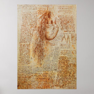 Hjärtat och bronkialartärerna poster