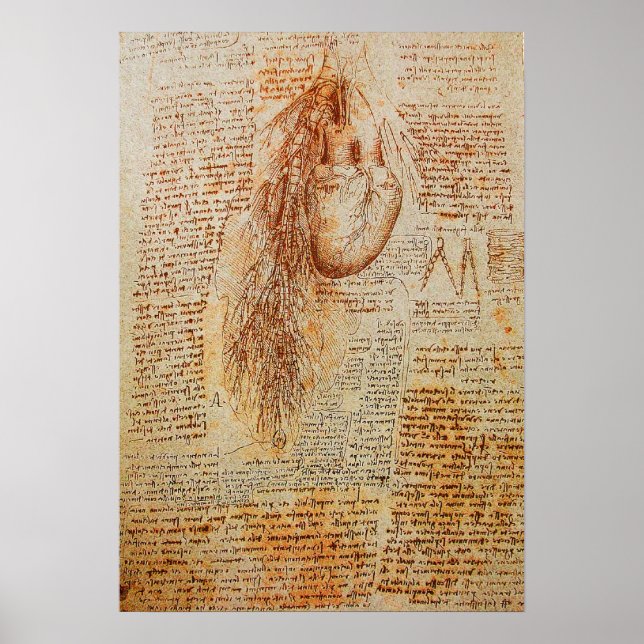 Hjärtat och bronkialartärerna poster (Framsidan)