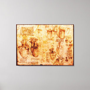 Hjärtat och dess blodkärl, Brown Canvastryck