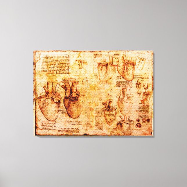 Hjärtat och dess blodkärl, Brown Canvastryck (Framsida)