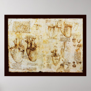Hjärtat och dess blodkärl, Sepia Canvas Poster