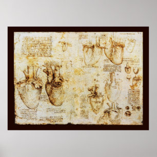 Hjärtat och dess blodkärl, Sepia Canvas Poster