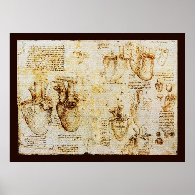 Hjärtat och dess blodkärl, Sepia Canvas Poster (Framsidan)