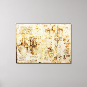 Hjärtat och dess blodkärl, Sepia Canvastryck