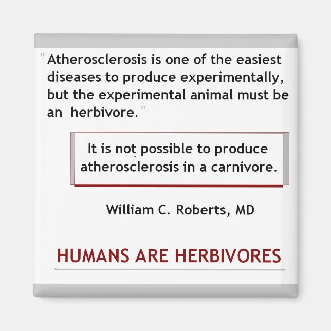 Hjärtattack magnet (Framsidan)