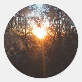 hjärtbeamdec2010 runt klistermärke