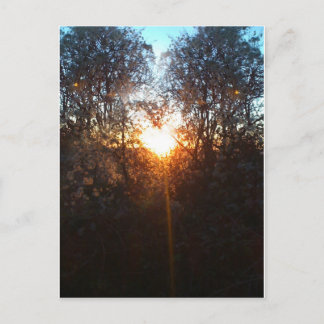 hjärtbeamdec2010 vykort