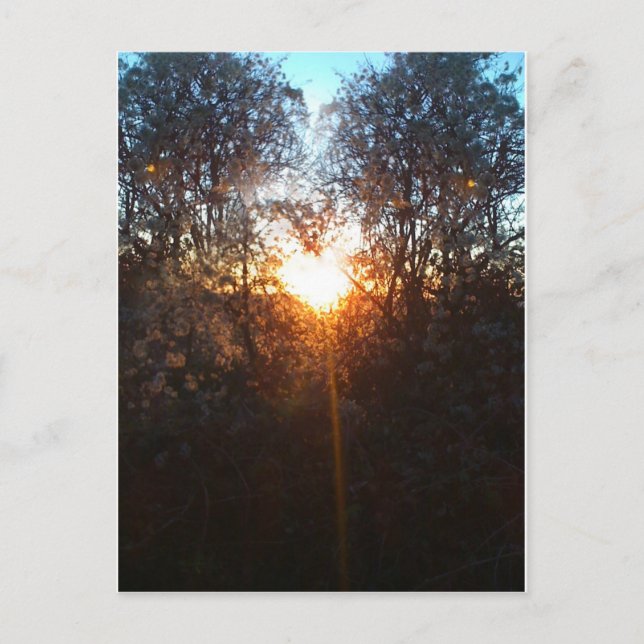 hjärtbeamdec2010 vykort (Framsida)