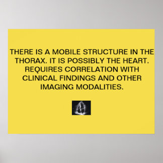 Hjärteekorapport Poster