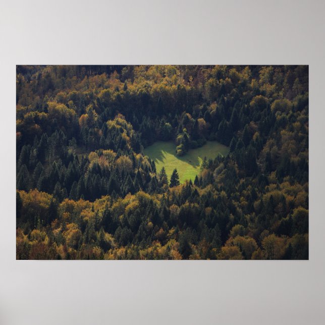 Hjärtform i en skog i Slovenien Poster (Framsidan)