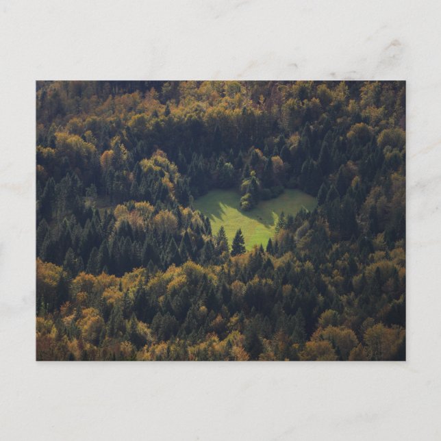 Hjärtform i en skog i Slovenien Vykort (Framsida)