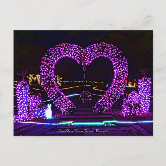 Hjärtformad blomstertopp: Belysning Vykort (Framsida)