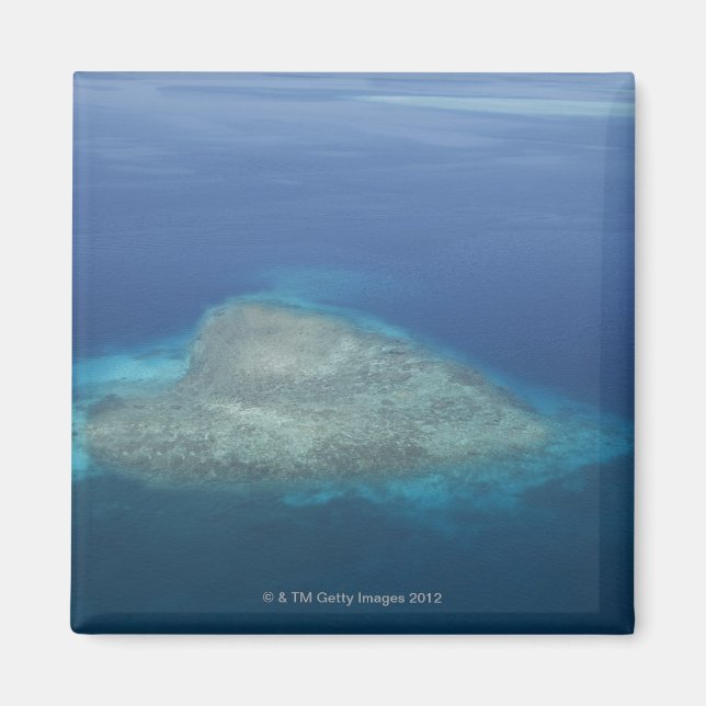 Hjärtformade korallrev magnet (Framsidan)