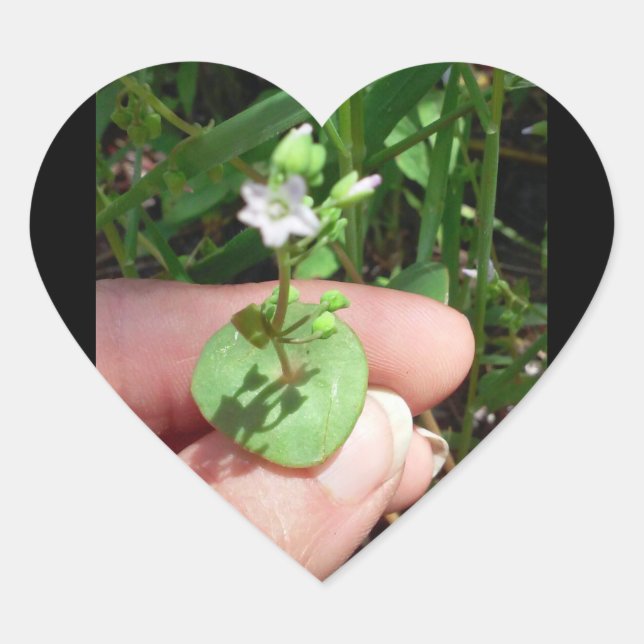 Hjärtformade märke för Sak (Framsida)